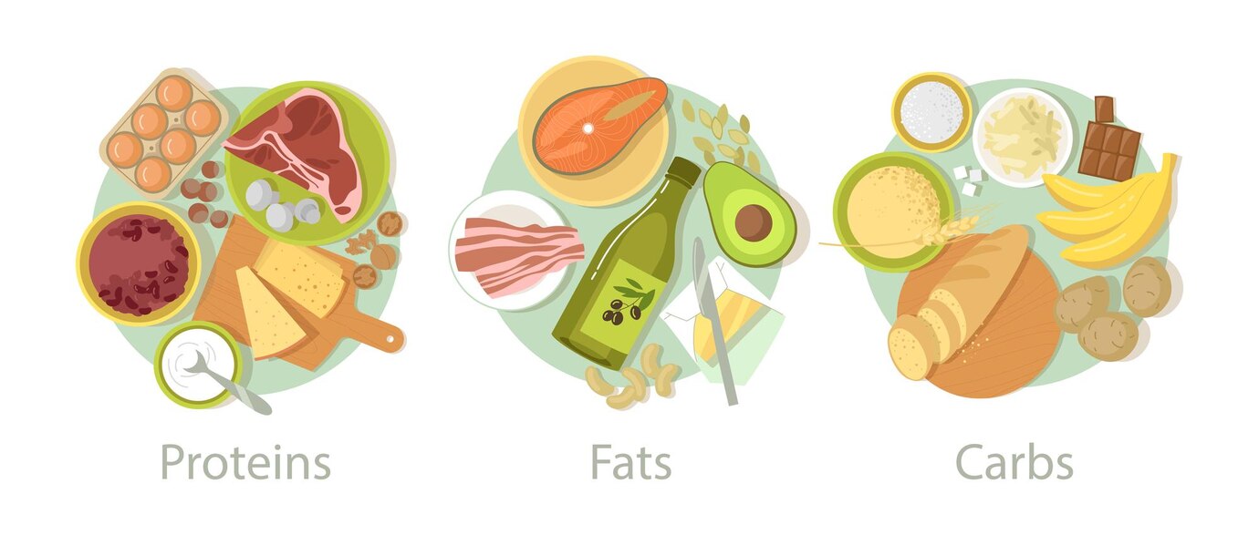 carbohydrate-protein-fat-food-set-vector-illustrations-nutrition-categories-cartoon-carb-fibers-grains-cereal-bread-energy-meals-meat-eggs-isolated-white-complex-diet-concep